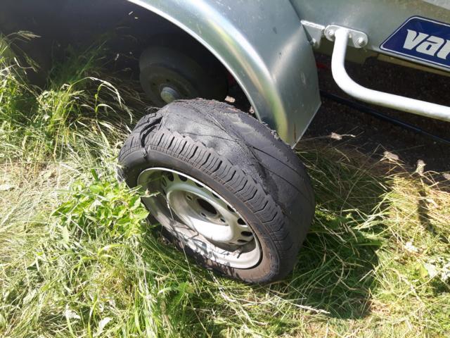 20180608_153939.JPG